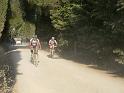 MTBTOSCANA2011  (74)